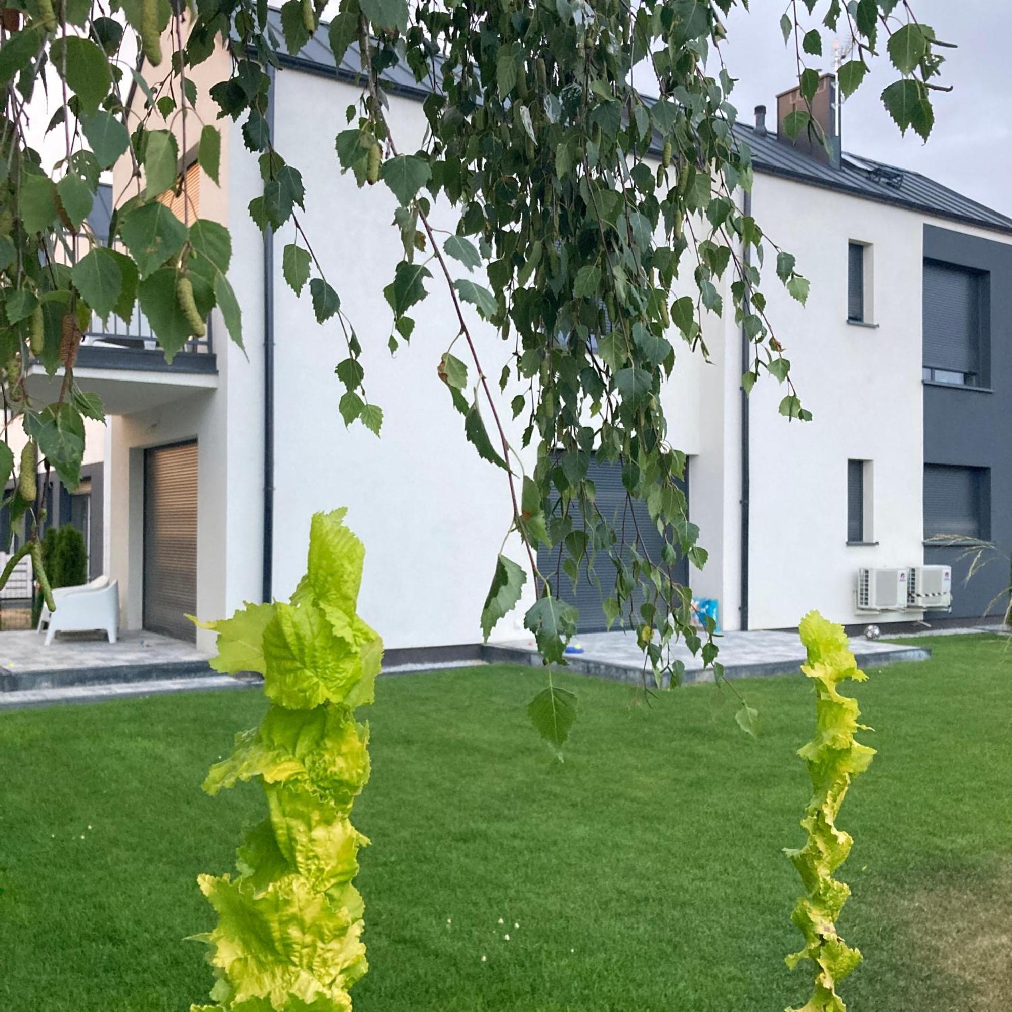 Stylowe Apartamenty Plewiska Εξωτερικό φωτογραφία